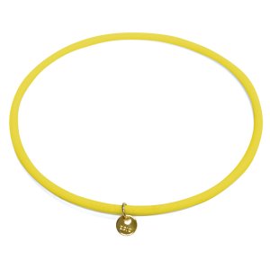 画像4: CHRIOアルファリングネックレス (4)