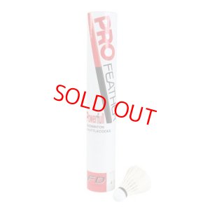 画像1: アイベックスポーツ　バドミントンシャトル　プロフェザーパワフル　3番/PF-6510 (1)